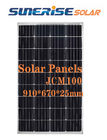 100W Solar Photovoltaic Module